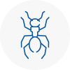 Ant Removals In Great Malvern