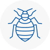 Bed Bug Extermination In Great Malvern