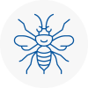 Great Malvern Hornet Nest Removals