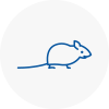 Mice Exterminators In Great Malvern