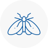 Moth Control Specialists In Great Malvern