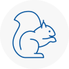 Great Malvern Rodent Removals