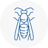 Great Malvern Wasp Nest Removal